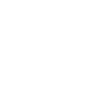 firstlevel